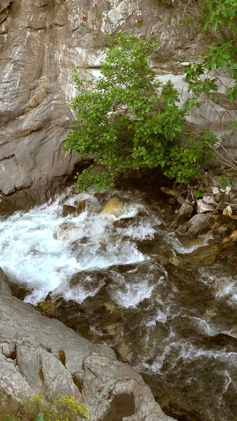 Vertical video, Stream flows among stones Видео 295641955
