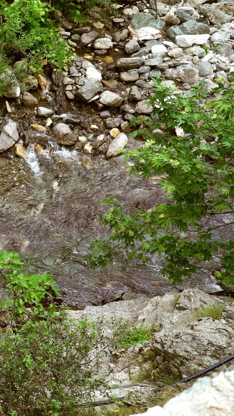 Vertical video, Stream flows among stones Stockbeeldmateriaal 295642404