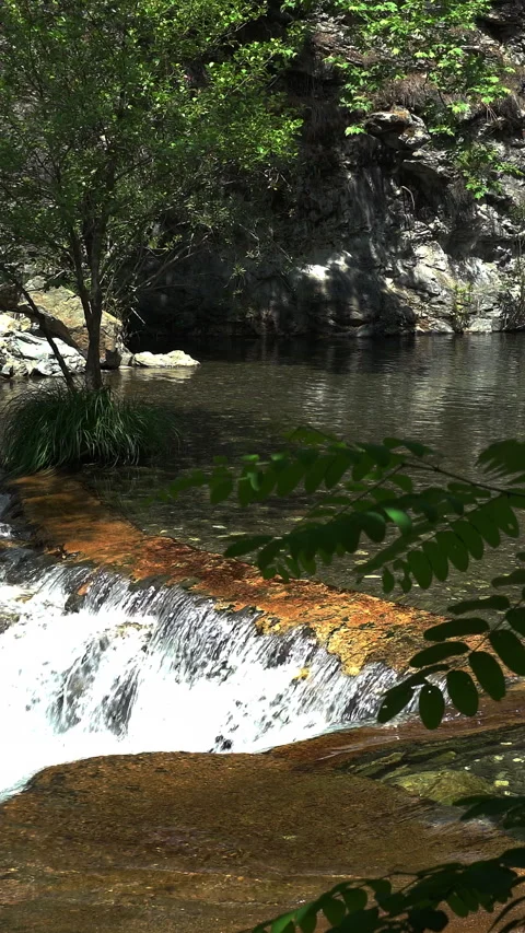 Vertical video, Stream flows among stones 動画素材 295650680