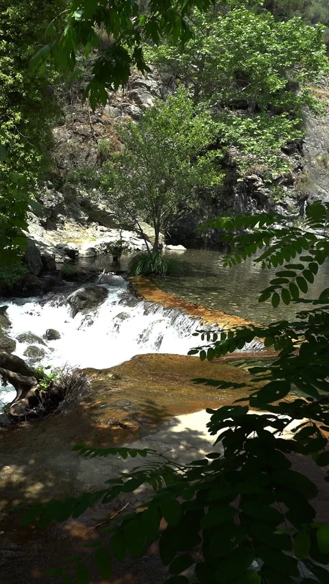 Vertical video, Stream flows among stones Video stock 295652006