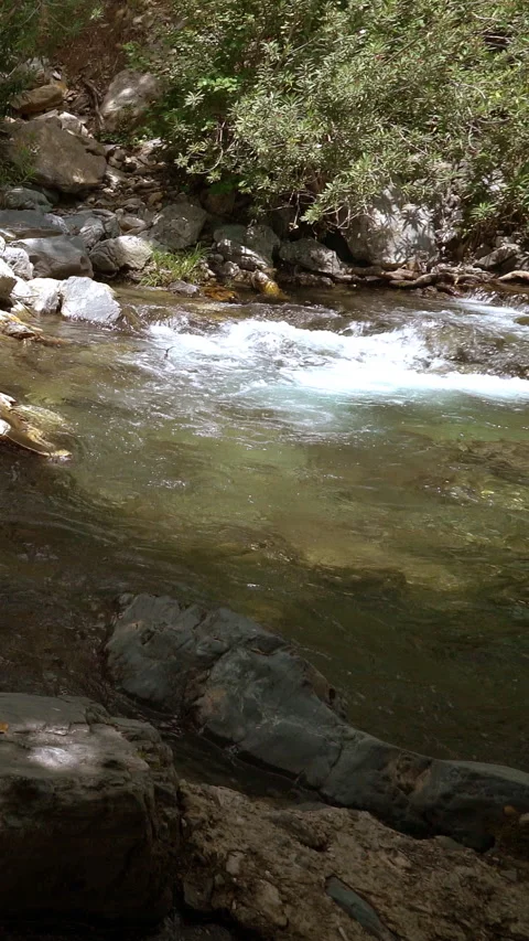 Vertical video, Stream flows among stones Vidéo 295655824