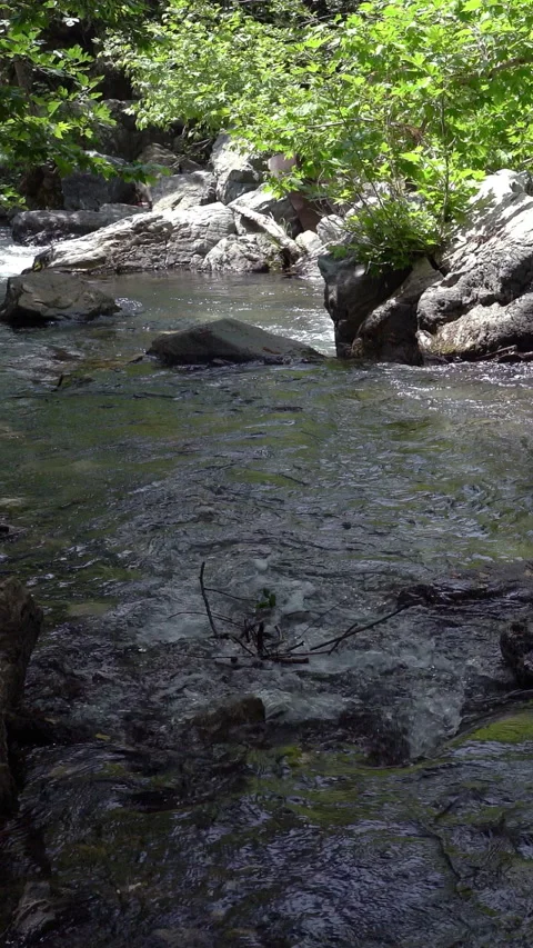 Vertical video, Stream flows among stones Stockbeeldmateriaal 295657282