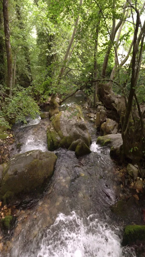 Vertical video, Stream in the mountains Vídeos de archivo 313145743