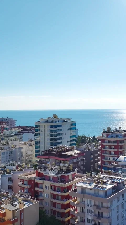 Vertical Video Structural Grid and Open Floor Plan from Above Stock Footage 341885158