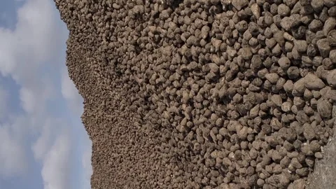 Vertical video. The sugar beet harvest is stacked in large piles. Aerial view. Stock-Footage 255246769