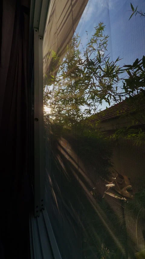 Vertical video. Sun Shines Through a Screened Window Beside Curtains, Illuminati Stock Footage 340634850