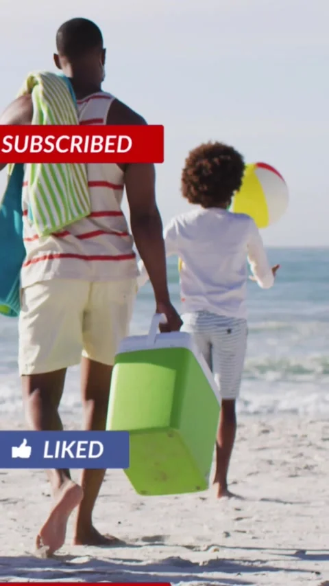 Vertical video: Sun urging dad walking to sea, holding cooler, son tossing ball, Stock Footage 331215687