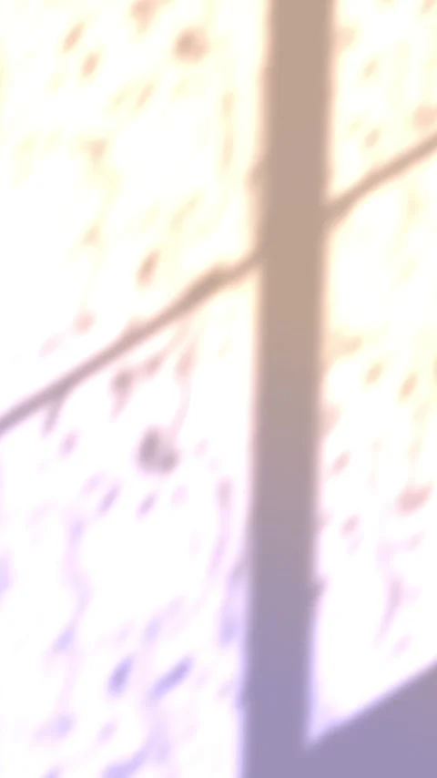 Vertical video: Sun via window casting mid frame shadow and slant bars, shifting Stock Footage 348567685