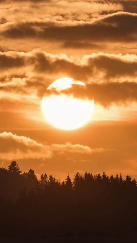 Vertical video of sunset over forest nature 스톡 동영상 307698467