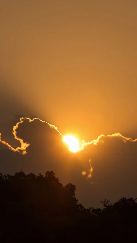 Vertical video - Sunset Timelapse Stock Footage 317102318