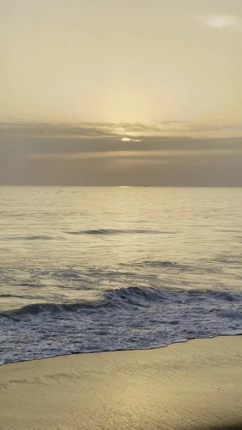 Vertical video of a sunset at the Venice beach in Santa Monica Video stock 322736577