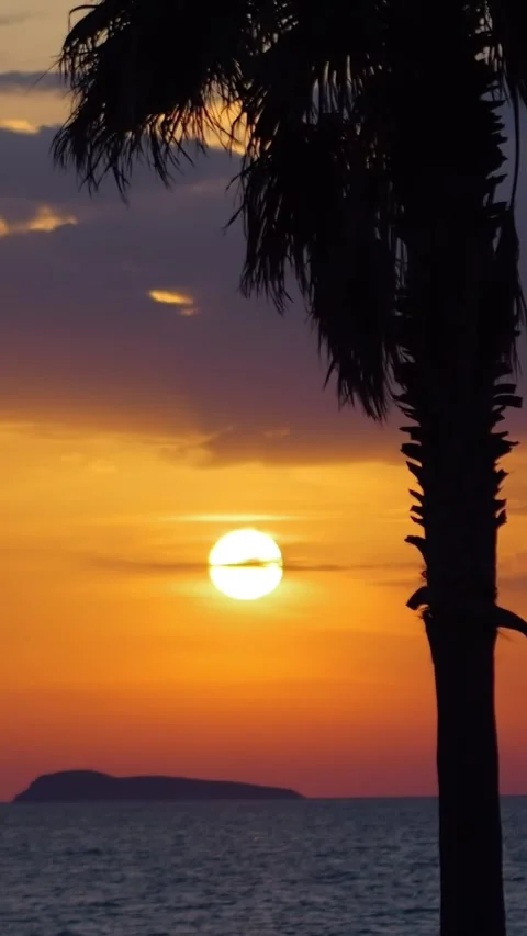 Vertical video of a sunset view with palm trees and Kalymnos island in the .. Stock Footage 290094594