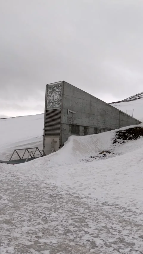 Vertical Video of the Svalbard Global Seed Vault, Norway Stock Footage 340036216