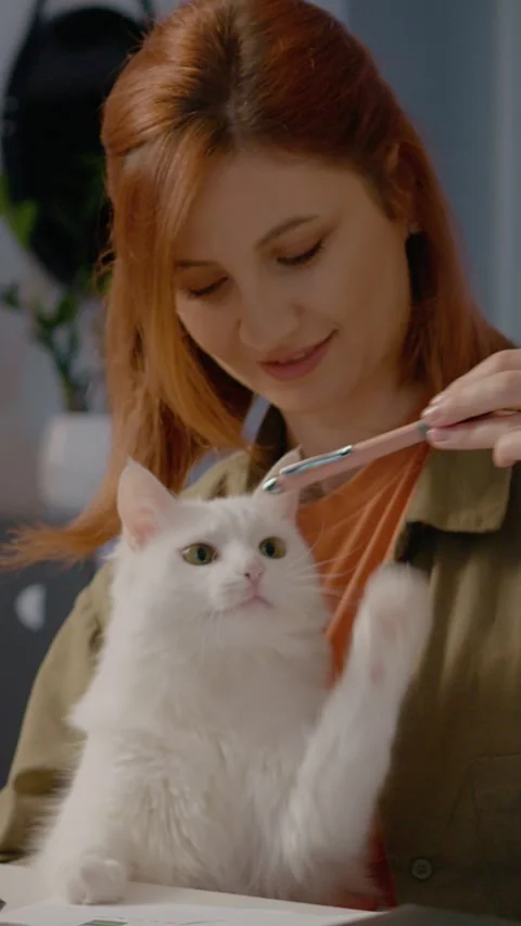 Vertical video Taking a break from work to play with a pet cat in a cozy office Video stock 305094058
