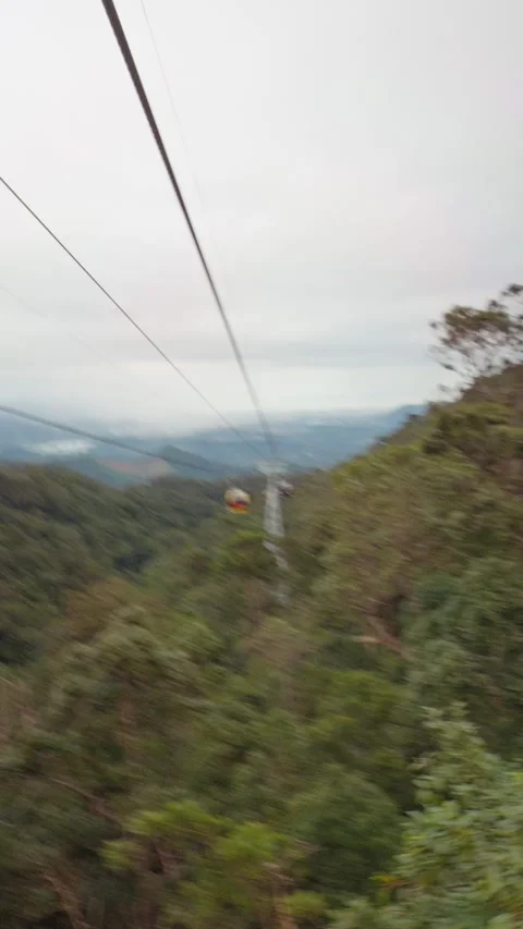 Vertical video. Tall Green Cable Tower Rising Above Dense Forest as Cable Cars M Stock Footage 323647782