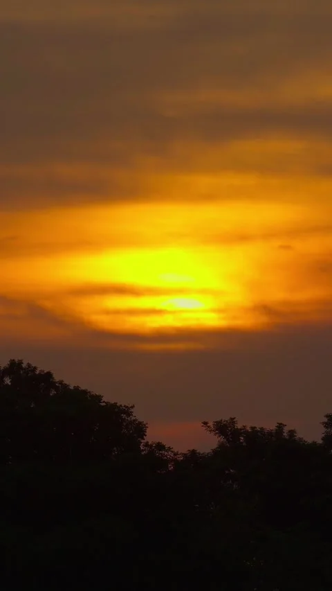 Vertical video, Time Lapse, Sunset with trees in the foreground Stock Footage 282569527