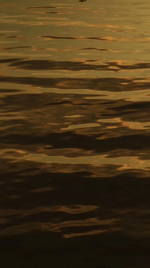Vertical video timelapse, beautiful evening, river in summer, sunset Stock Footage 160059373