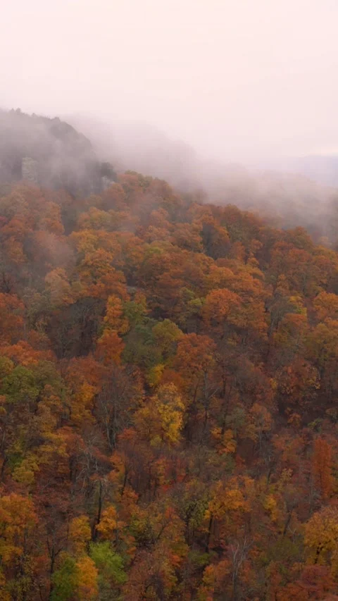 Vertical Video - Timelapse Misty Clouds Over Colorful Trees on Mount Magazine Stock Footage 255915570