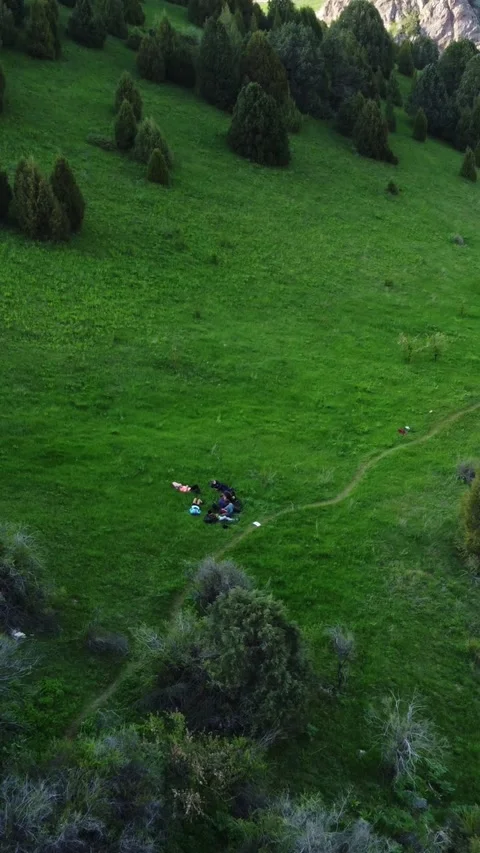 Vertical video: Tiny Hikers Resting on Lush Green Mountain Meadow Aerial Stock Footage 332205324