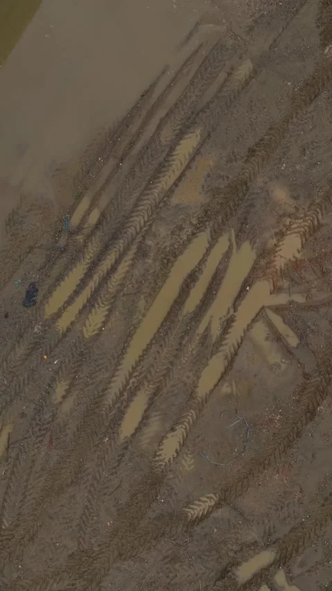 Vertical Video: Tire Tracks on Dirt Ground Captured Vertically in Bright Natural Stock Footage 342574686
