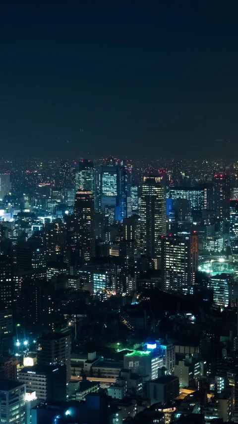 Vertical video - Tokyo Night Timelapse Stock Footage 280125100