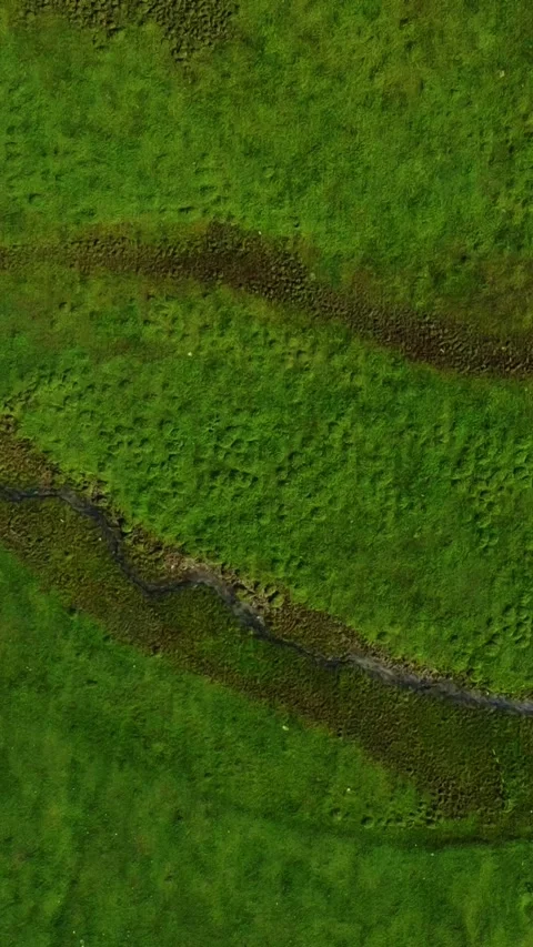 Vertical video: Top Down View of Green Valley &amp; Glacial Streams Video stock 331648243