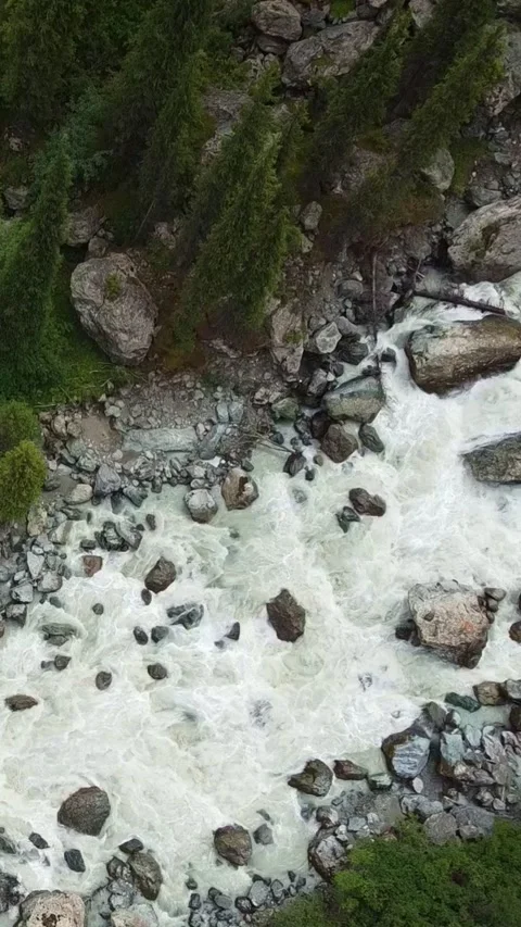 Vertical video: Top Down View of Rushing Whitewater River and Pine Forest ID: v0 Video stock 332010439