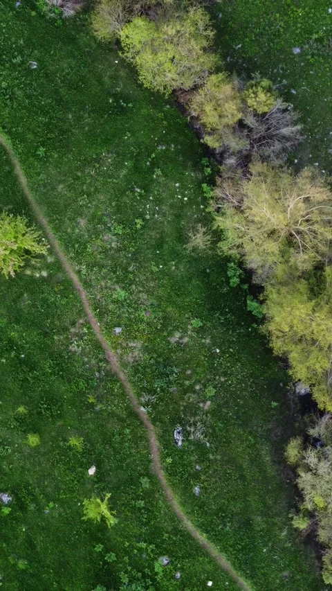 Vertical video: Top Down View of Path through Green Spring Meadow Video stock 332205225
