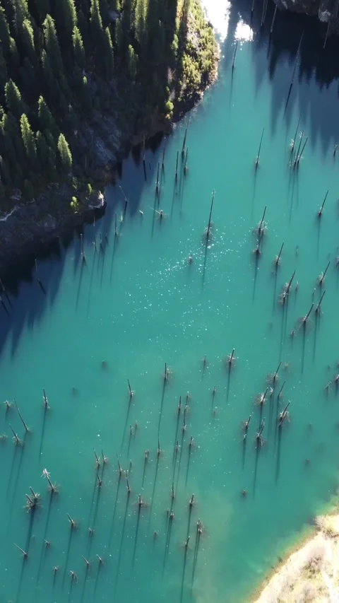 Vertical video: Top Down View of Sunken Forest in Turquoise Lake Kaindy Video stock 332216889