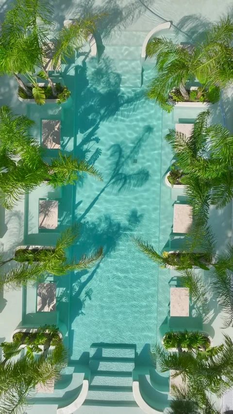 Vertical Video Top View Relaxing Poolside Scene with Balanced Elements Stock Footage 341815631