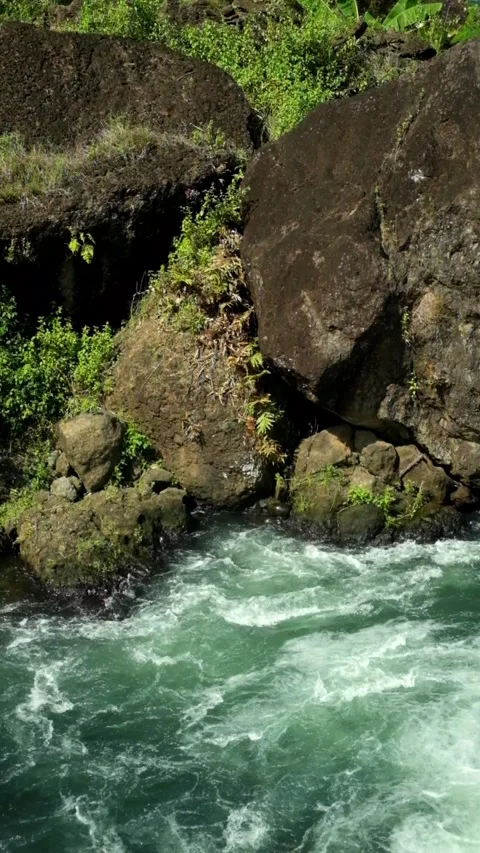 Vertical video top view of river water flowing against rocks on the riverban Stock Footage 320056382