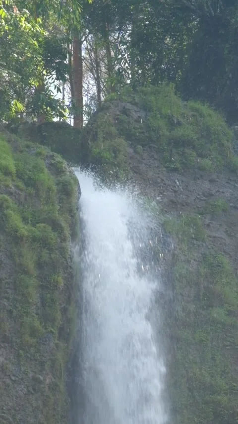 Vertical video of the top of a waterfall in a tropical rainforest Stock Footage 319878068