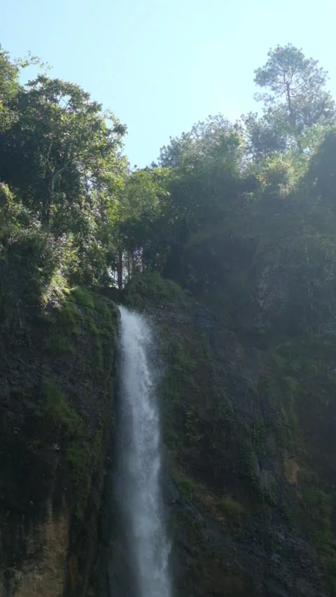 Vertical video of the top of a waterfall in a tropical rainforest Видео 319878097