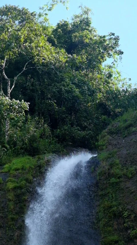 Vertical video of the top of a waterfall in a tropical rainforest Video stock 319878099