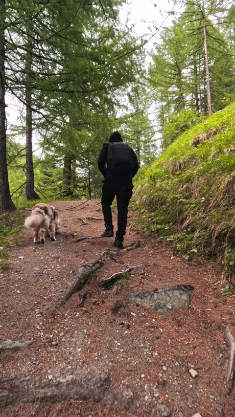 Vertical video of a tourist active man with a backpack hiking with his dog Stock Footage 280202913