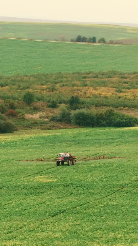 Vertical Video of Tractor spraying rapeseed, canola plantation. Agricultural Stock Footage 309203896