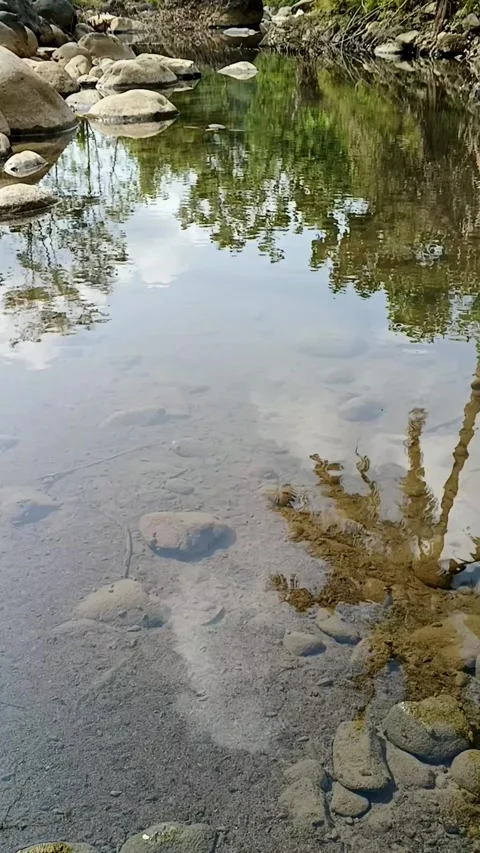 Vertical video of tranquil mountain river with clear water and reflections o Vidéo 342962302