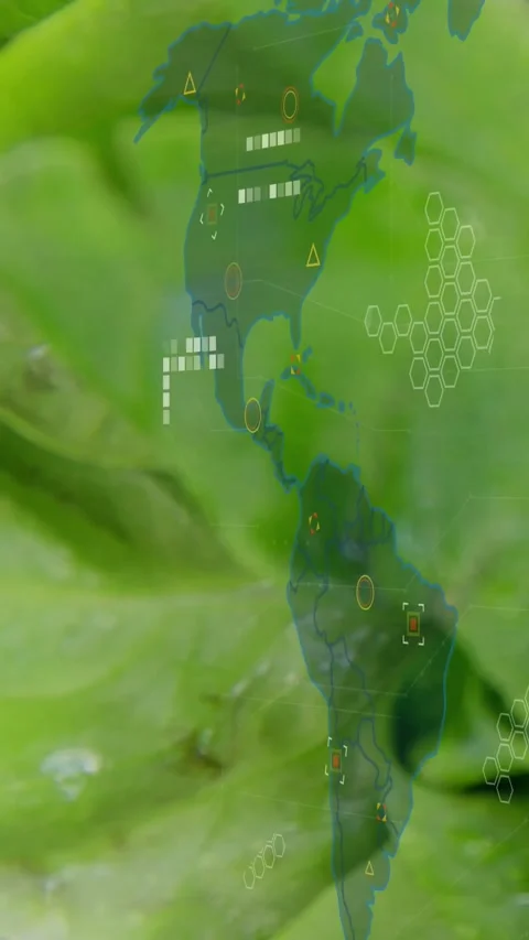 Vertical video: Translucent map appearing, sliding over leaf after focus shift, Stock Footage 334398085