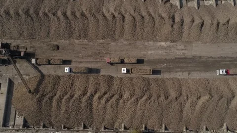 Vertical video. Transportation of sugar beet harvest by trucks. Video stock 251671704