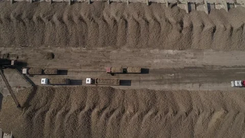 Vertical video. Transportation of sugar beet harvest by trucks. Aerial view. Video stock 252652759