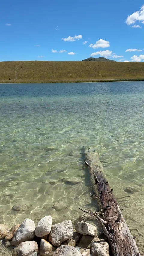 Vertical video of tree branch on lake shore with clear water and sky Stock Footage 319402672