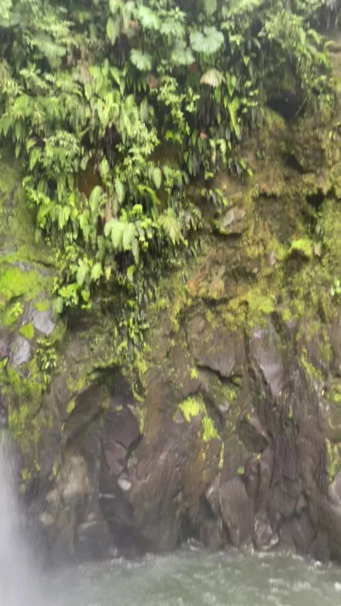 Vertical video of a tropical waterfall Stock Footage 180537200