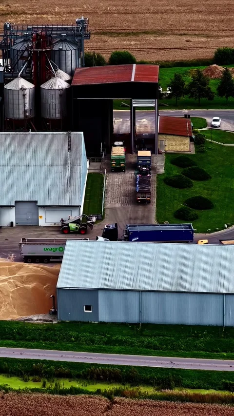 Vertical Video - Trucks Loading Grain at Agricultural Facility, Aerial View Video stock 337445677