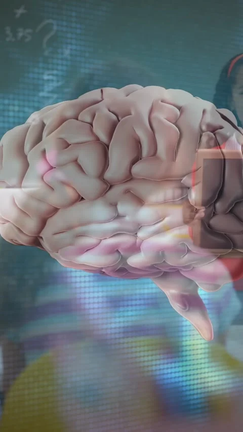 Vertical video: Tutor tapping tablet and showing 3D brain rotating for lesson Stock Footage 328448574