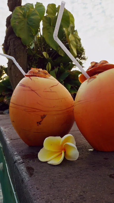 Vertical video. Two Fresh Coconuts With Drinking Straws Beside Tropical Resort P Stock Footage 337035953