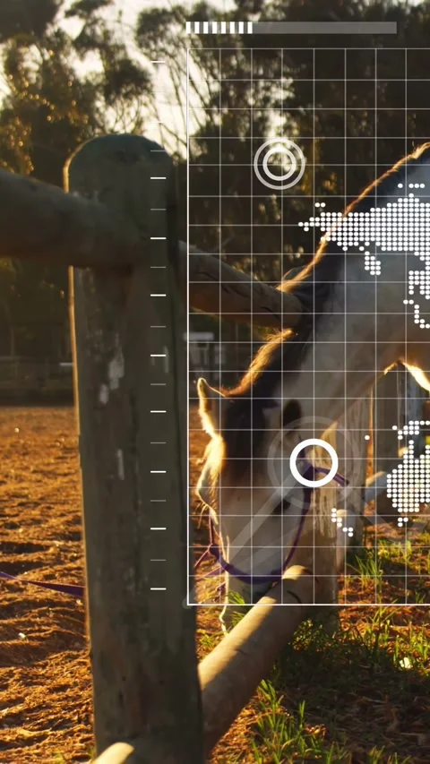 Vertical video: UI grid appearing, camera panning, vet tracking purple-halter Stock Footage 332735013