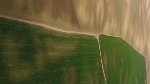 Vertical video. Ukrainian sown spring fields. Aerial view Stock Footage 220104632