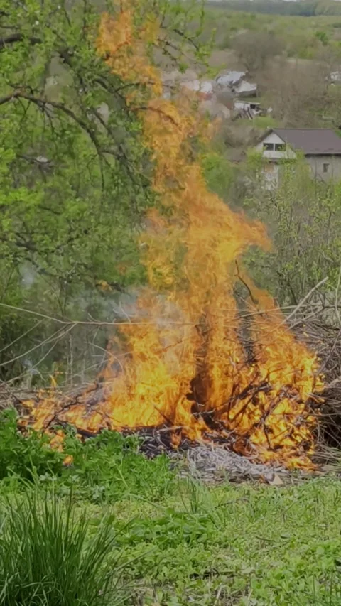 Vertical video of a vegetation fire in a garden in Comarna, Romania Stock Footage 334136615