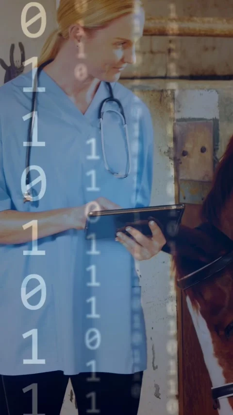 Vertical video: Vet tapping tablet in barn with binary code, guiding horse Stock Footage 333954170