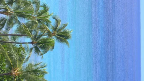 Vertical video of view at beatiful tropical Waikiki coastline in Hawaii in 4k Video stock 151867216